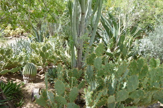 Filename=P1010624.JPG
Filesize=5254KiB
Dimensions=4320x2880
Date added=Sep 23, 2019 P1010624.JPG