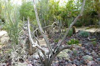 Filename=P1010626.JPG
Filesize=5061KiB
Dimensions=4320x2880
Date added=Sep 23, 2019 P1010626.JPG