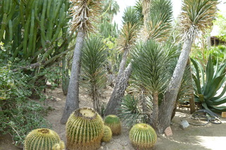 Filename=P1010628.JPG
Filesize=5337KiB
Dimensions=4320x2880
Date added=Sep 23, 2019 P1010628.JPG