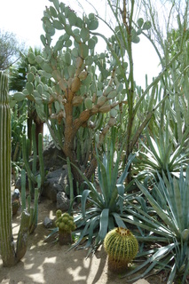 Filename=P1010634.JPG
Filesize=4718KiB
Dimensions=2880x4320
Date added=Sep 23, 2019 P1010634.JPG