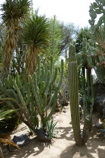 Filename=P1010635.JPG
Filesize=4270KiB
Dimensions=2880x4320
Date added=Sep 23, 2019 P1010635.JPG