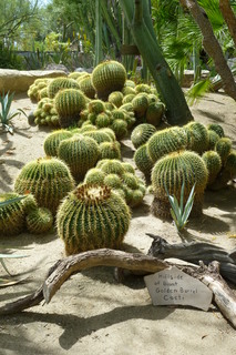 Filename=P1010636.JPG
Filesize=4504KiB
Dimensions=2880x4320
Date added=Sep 23, 2019 P1010636.JPG