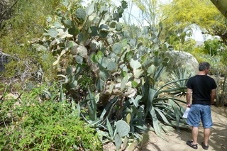 Filename=P1010637.JPG
Filesize=5252KiB
Dimensions=4320x2880
Date added=Sep 23, 2019 P1010637.JPG