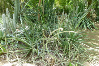 Filename=P1010642.JPG
Filesize=5198KiB
Dimensions=4320x2880
Date added=Sep 23, 2019 P1010642.JPG