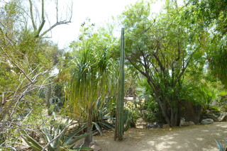 Filename=P1010643.JPG
Filesize=5277KiB
Dimensions=4320x2880
Date added=Sep 23, 2019 P1010643.JPG