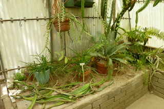 Filename=P1010648.JPG
Filesize=5190KiB
Dimensions=4320x2880
Date added=Sep 23, 2019 P1010648.JPG