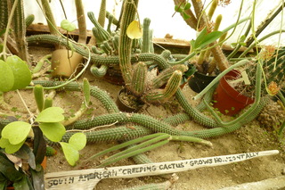 Filename=P1010654.JPG
Filesize=5104KiB
Dimensions=4320x2880
Date added=Sep 23, 2019 P1010654.JPG