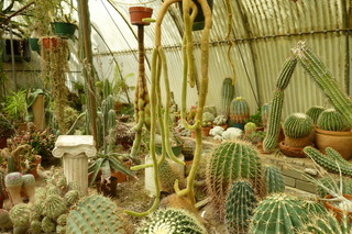 Filename=P1010655.JPG
Filesize=4983KiB
Dimensions=4320x2880
Date added=Sep 23, 2019 P1010655.JPG