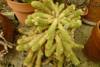 Filename=P1010657.JPG
Filesize=5282KiB
Dimensions=4320x2880
Date added=Sep 23, 2019 P1010657.JPG