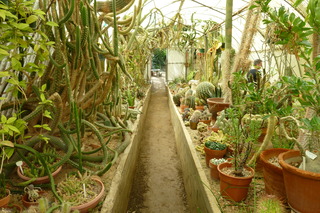 Filename=P1010662.JPG
Filesize=4874KiB
Dimensions=4320x2880
Date added=Sep 23, 2019 P1010662.JPG