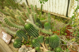 Filename=P1010670.JPG
Filesize=5170KiB
Dimensions=4320x2880
Date added=Sep 23, 2019 P1010670.JPG