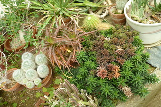 Filename=P1010671.JPG
Filesize=5511KiB
Dimensions=4320x2880
Date added=Sep 23, 2019 P1010671.JPG