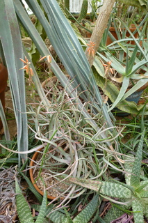 Filename=P1010672.JPG
Filesize=4503KiB
Dimensions=2880x4320
Date added=Sep 23, 2019 P1010672.JPG