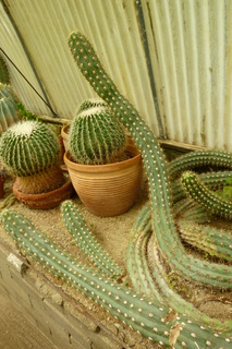 Filename=P1010680.JPG
Filesize=4526KiB
Dimensions=2880x4320
Date added=Sep 23, 2019 P1010680.JPG