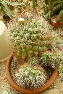 Filename=P1010683.JPG
Filesize=4673KiB
Dimensions=2880x4320
Date added=Sep 23, 2019 P1010683.JPG