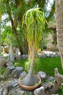 Filename=P1010703.JPG
Filesize=4392KiB
Dimensions=2880x4320
Date added=Sep 23, 2019 P1010703.JPG