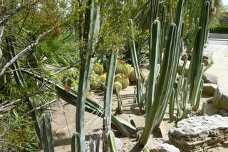 Filename=P1010705.JPG
Filesize=5216KiB
Dimensions=4320x2880
Date added=Sep 23, 2019 P1010705.JPG