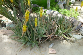 Filename=P1010712.JPG
Filesize=4919KiB
Dimensions=4320x2880
Date added=Sep 23, 2019 P1010712.JPG