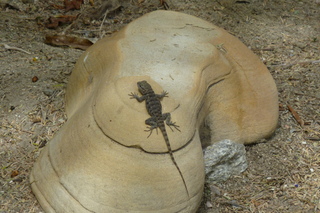 Filename=P1010715.JPG
Filesize=5103KiB
Dimensions=4320x2880
Date added=Sep 23, 2019 P1010715.JPG