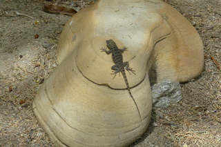 Filename=P1010716.JPG
Filesize=5361KiB
Dimensions=4320x2880
Date added=Sep 23, 2019 P1010716.JPG