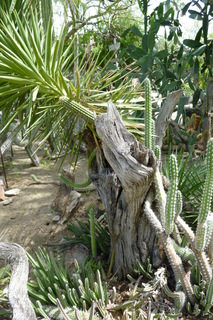 Filename=P1010722.JPG
Filesize=4200KiB
Dimensions=2880x4320
Date added=Sep 23, 2019 P1010722.JPG