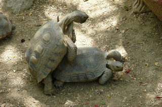 Filename=P1010724.JPG
Filesize=5359KiB
Dimensions=4320x2880
Date added=Sep 23, 2019 P1010724.JPG