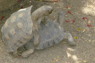 Filename=P1010727.JPG
Filesize=5008KiB
Dimensions=4320x2880
Date added=Sep 23, 2019 P1010727.JPG