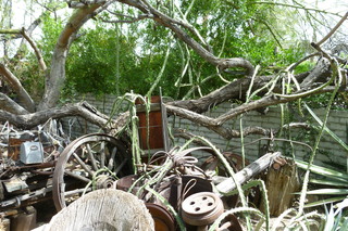 Filename=P1010732.JPG
Filesize=5276KiB
Dimensions=4320x2880
Date added=Sep 23, 2019 P1010732.JPG