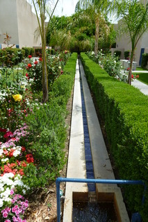 Filename=P1010733.JPG
Filesize=4493KiB
Dimensions=2880x4320
Date added=Sep 23, 2019 P1010733.JPG