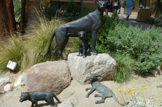 Filename=P1010737.JPG
Filesize=146KiB
Dimensions=640x424
Date added=Sep 23, 2019 P1010737.JPG