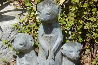 Filename=P1010739.JPG
Filesize=5593KiB
Dimensions=4320x2880
Date added=Sep 23, 2019 P1010739.JPG