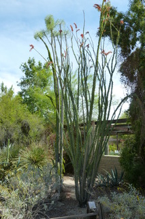 Filename=P1010746.JPG
Filesize=4447KiB
Dimensions=2880x4320
Date added=Sep 23, 2019 P1010746.JPG