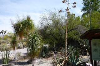 Filename=P1010755.JPG
Filesize=5170KiB
Dimensions=4320x2880
Date added=Sep 23, 2019 P1010755.JPG