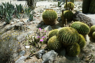 Filename=P1010760.JPG
Filesize=5333KiB
Dimensions=4320x2880
Date added=Sep 23, 2019 P1010760.JPG