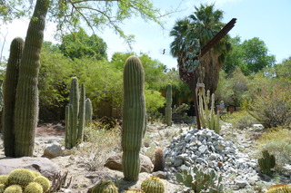 Filename=P1010761.JPG
Filesize=5099KiB
Dimensions=4320x2880
Date added=Sep 23, 2019 P1010761.JPG