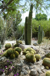 Filename=P1010762.JPG
Filesize=4440KiB
Dimensions=2880x4320
Date added=Sep 23, 2019 P1010762.JPG