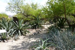 Filename=P1010764.JPG
Filesize=5257KiB
Dimensions=4320x2880
Date added=Sep 23, 2019 P1010764.JPG