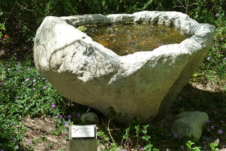 Filename=P1010769.JPG
Filesize=5061KiB
Dimensions=4320x2880
Date added=Sep 23, 2019 P1010769.JPG