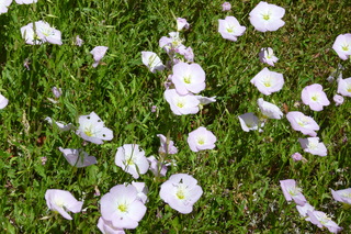 Filename=P1010771.JPG
Filesize=5232KiB
Dimensions=4320x2880
Date added=Sep 23, 2019 P1010771.JPG