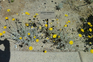 Filename=P1010774.JPG
Filesize=5097KiB
Dimensions=4320x2880
Date added=Sep 23, 2019 P1010774.JPG