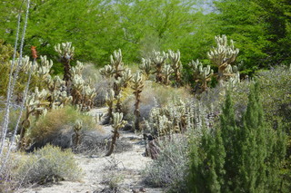 Filename=P1010778.JPG
Filesize=5123KiB
Dimensions=4320x2880
Date added=Sep 23, 2019 P1010778.JPG