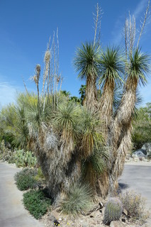 Filename=P1010781.JPG
Filesize=4478KiB
Dimensions=2880x4320
Date added=Sep 23, 2019 P1010781.JPG