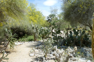 Filename=P1010783.JPG
Filesize=5210KiB
Dimensions=4320x2880
Date added=Sep 23, 2019 P1010783.JPG