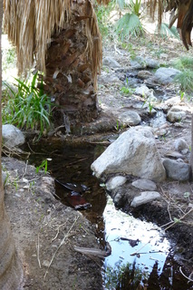 Filename=P1010786.JPG
Filesize=4196KiB
Dimensions=2880x4320
Date added=Sep 23, 2019 P1010786.JPG