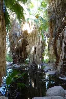 Filename=P1010787.JPG
Filesize=4609KiB
Dimensions=2880x4320
Date added=Sep 23, 2019 P1010787.JPG