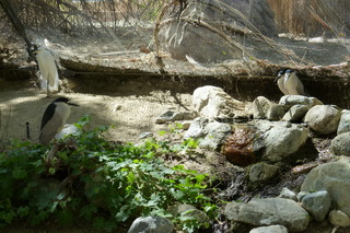 Filename=P1010791.JPG
Filesize=5379KiB
Dimensions=4320x2880
Date added=Sep 23, 2019 P1010791.JPG