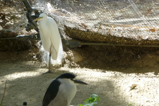 Filename=P1010794.JPG
Filesize=5525KiB
Dimensions=4320x2880
Date added=Sep 23, 2019 P1010794.JPG