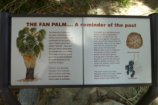 Filename=P1010797.JPG
Filesize=5149KiB
Dimensions=4320x2880
Date added=Sep 23, 2019 P1010797.JPG