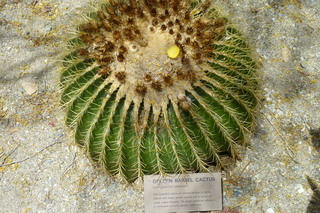 Filename=P1010804.JPG
Filesize=5357KiB
Dimensions=4320x2880
Date added=Sep 23, 2019 P1010804.JPG