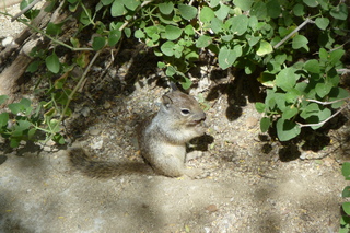 Filename=P1010818.JPG
Filesize=5407KiB
Dimensions=4320x2880
Date added=Sep 23, 2019 P1010818.JPG